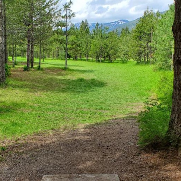 Baldfoot Disc Golf Course features a well-designed layout that takes advantage of the natural terrain and landscape of the area. 