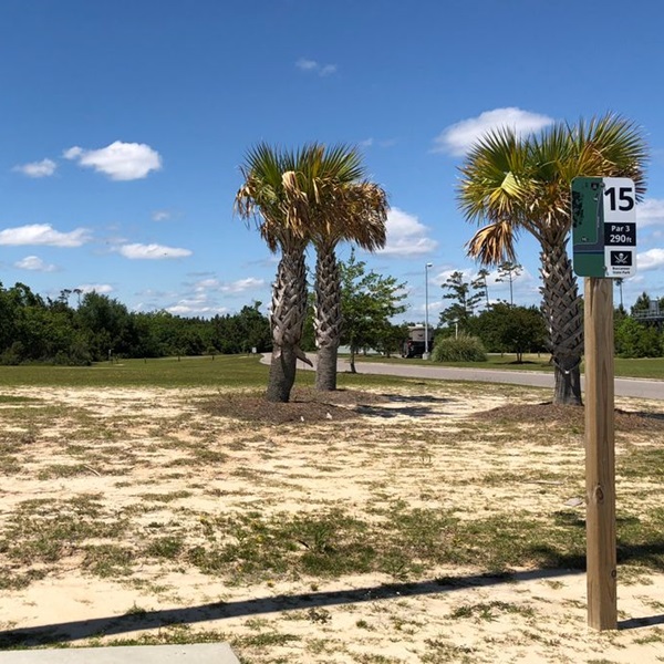 The course offers disc golf enthusiasts a scenic and challenging course set amidst the natural beauty of the Gulf Coast. 