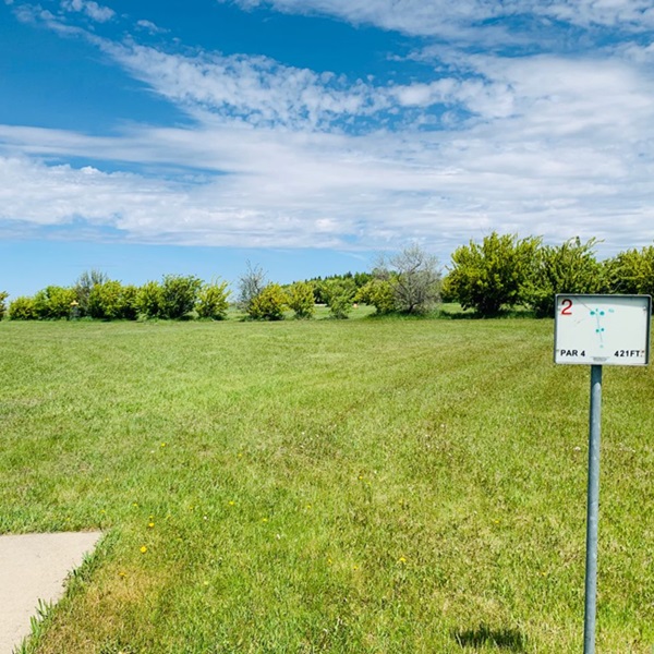 Disc golfers can enjoy the tranquility of the park's natural surroundings while testing their skills on the course. 