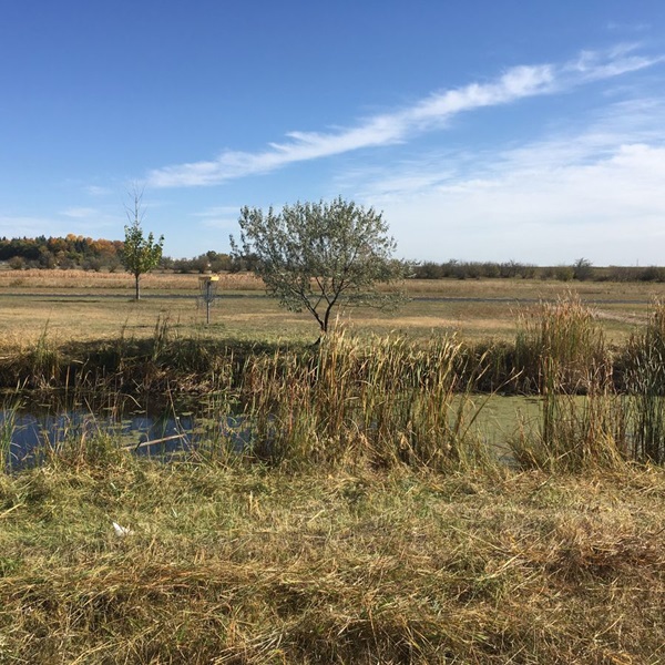 The course features a variety of terrain, including wooded areas, open fields, and water hazards, requiring players to use a combination of distance, accuracy, and strategy to navigate successfully. 