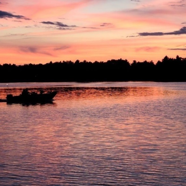 Lake Holcombe's diverse landscape, encompassing open water, marshlands, forests, and meadows, creates a smorgasbord of habitats. 