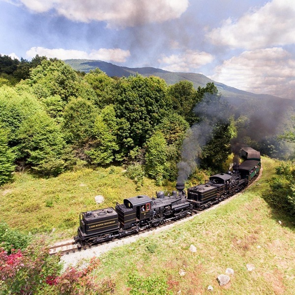 Visitors to Cass Scenic Railroad State Park can take a ride up Cheat Mountain to Whittaker Station on the historic railroad. 