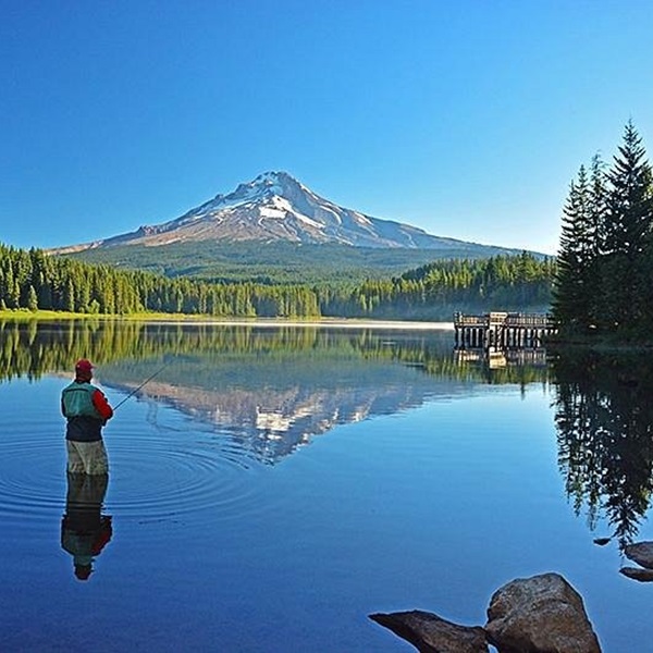 Popular hiking trails include the Pacific Crest Trail, which passes through the area, and the nearby Mirror Lake Trail, known for its stunning views of Mount Hood reflected in the lake. 