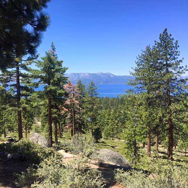 Zephyr Cove Disc Golf Course offers players panoramic views of Lake Tahoe and the surrounding mountains. 