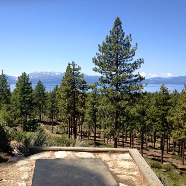 Zephyr Cove Disc Golf Course is supported by the local disc golf community, as well as park officials and volunteers. 