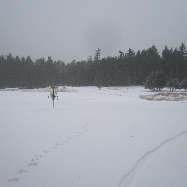 Roche Harbor Trails Disc Golf is a family-friendly destination where players of all ages can enjoy a day of outdoor recreation and fun year-round. 