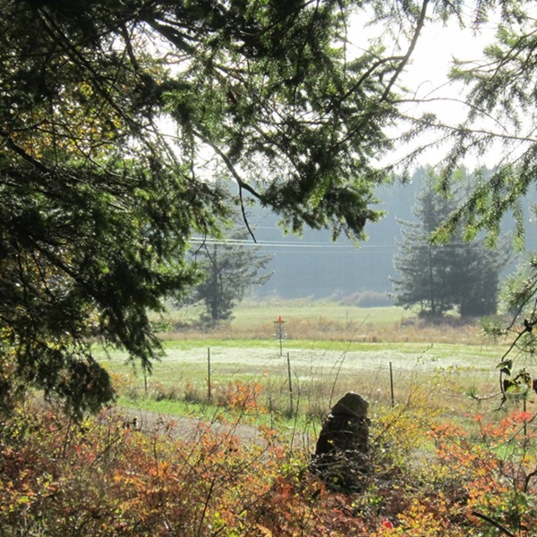 Roche Harbor Trails Disc Golf  - Webpage Image