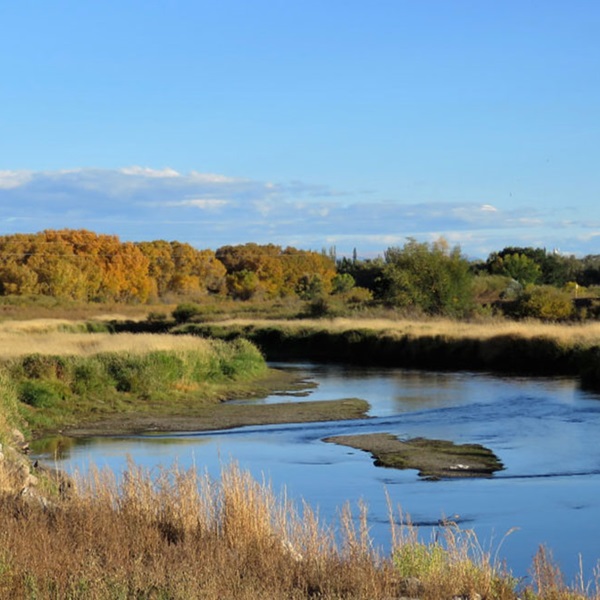 The river flows through picturesque landscapes of rolling hills, verdant meadows, and towering mountains, providing a serene and peaceful setting for fishing. 