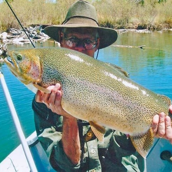 The Rio Grande River is home to several species of trophy-sized trout, including rainbow trout, brown trout, and cutthroat trout. 