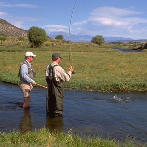 The Rio Grande River  - Webpage Image