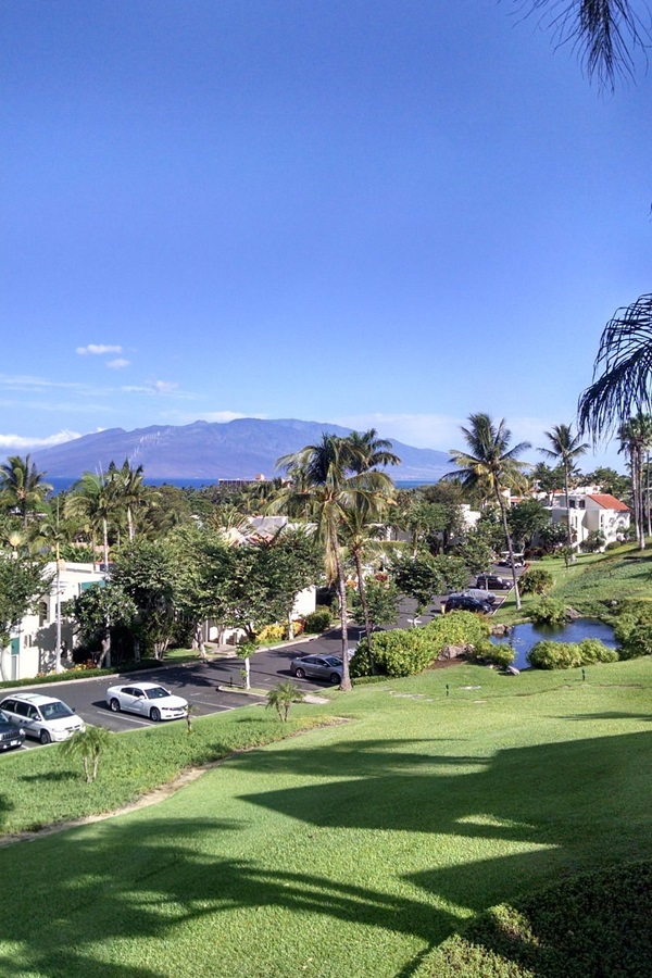 Maui Visitor and Convention Bureau  - Display Image