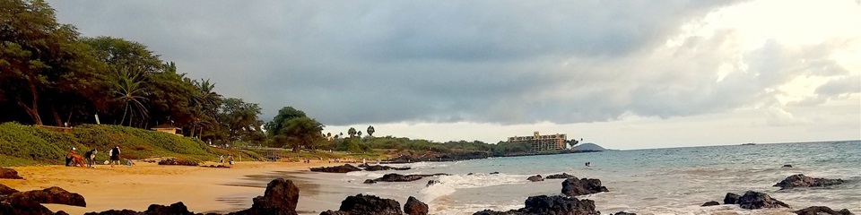Maui Visitor and Convention Bureau  - Header Image