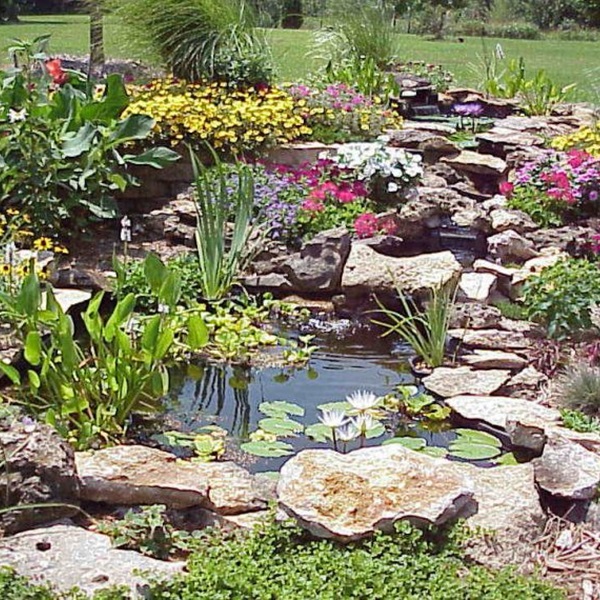 The Parsons Arboretum offers visitors a tranquil escape into nature with its collection of trees, shrubs, and native plants. 