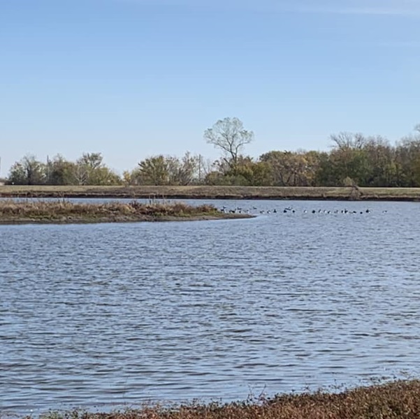 Altamont City Lake is nestled amidst the rolling hills of southeastern Kansas, offering anglers breathtaking views and a peaceful escape into nature. 
