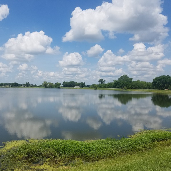 Suggested image for Altamont/Idle Hour Lakes  