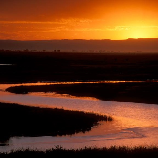 The Rio Grande River, one of the longest rivers in North America, flows through Rio Grande County, providing ample opportunities for water-based activities. 
