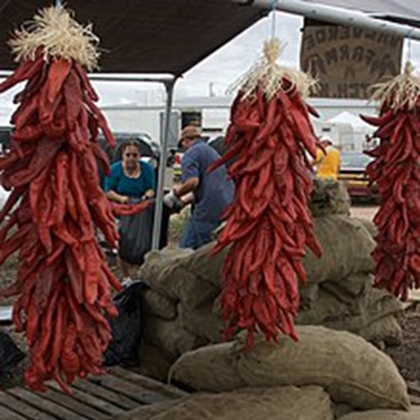 One of the highlights of the festival is the traditional chile roasting, where fresh Hatch green chiles are roasted over an open flame until they are charred and blistered. 