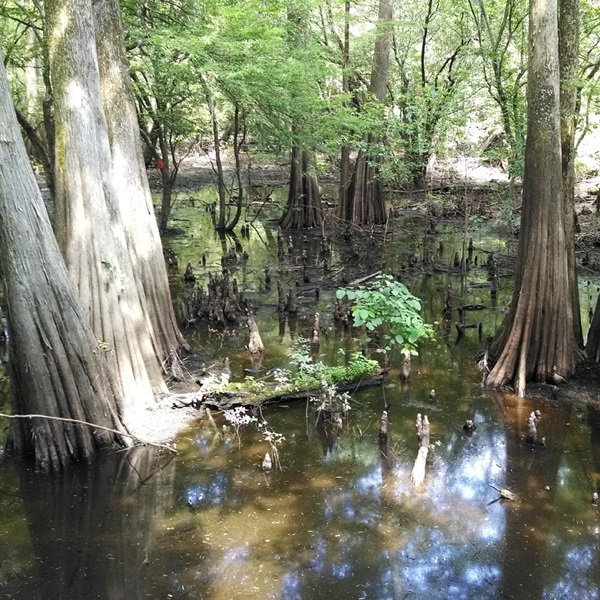 The county is home to numerous wildlife management areas and hunting preserves, as well as scenic spots along the Mississippi River. 