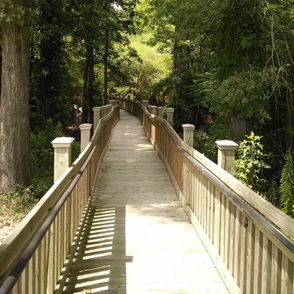 The Yazoo River and the Sunflower River, along with numerous tributaries and bayous, provide recreational opportunities for residents and visitors alike. 