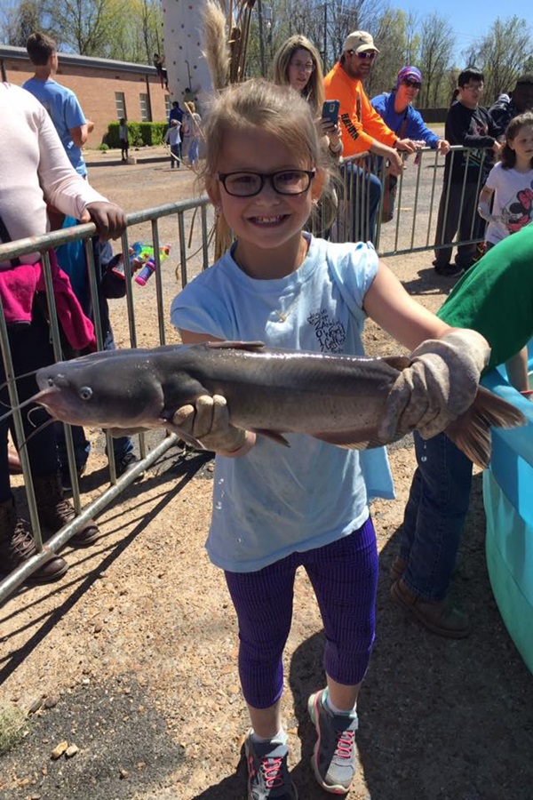 World Catfish Festival    - Display Image