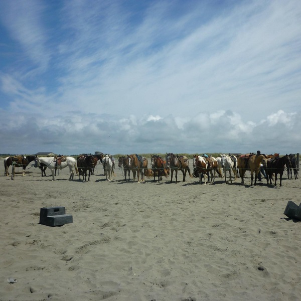 The city is known for its sandy beaches on the Pacific Ocean with many outdoor activities. 