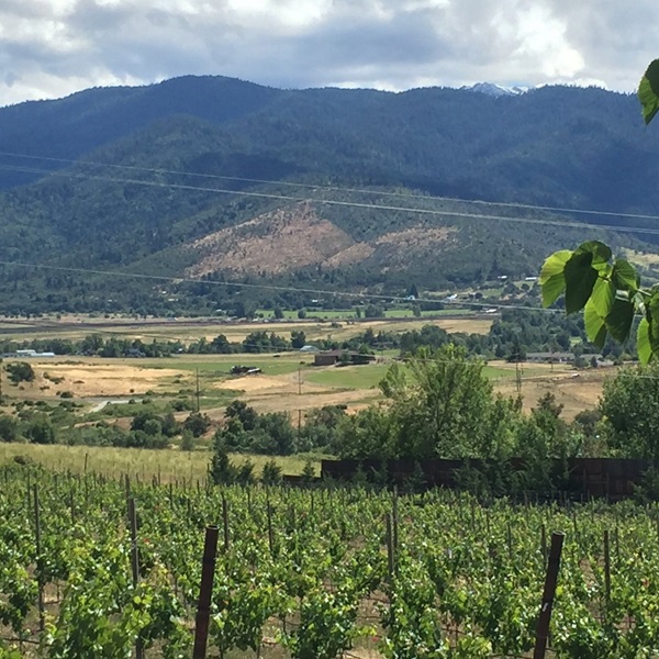 Ashland is the perfect jumping-off point for wine-tasting, home to seven wineries with tasting rooms, many in a walkable venue. 