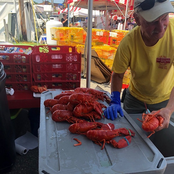 The Maine Lobster Festival features a Maine Seafood Pavilion where attendees can sample various seafood dishes showcasing the bounty of Maine's waters. 