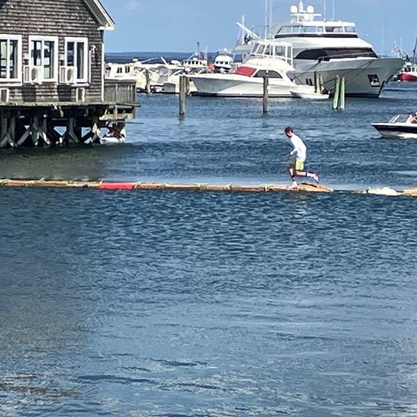 The Great Lobster Crate Race has teams racing across the harbor in a light-hearted competition. 