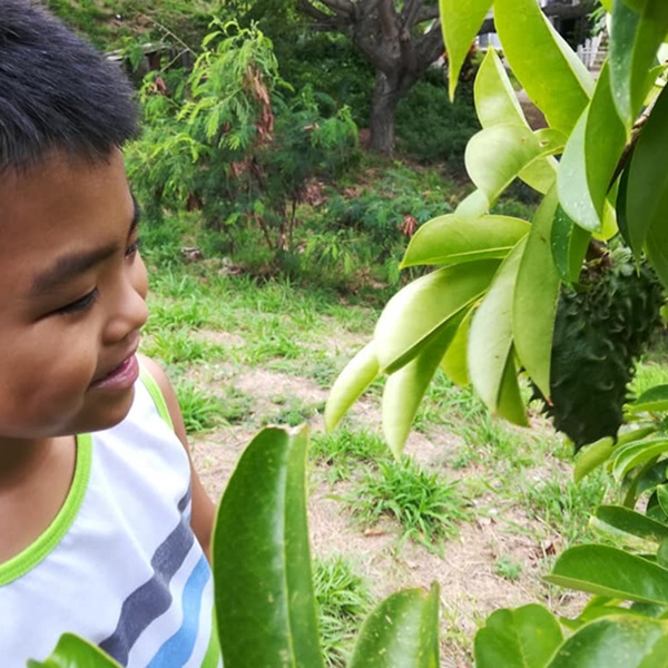 One of the highlights of the festival is the opportunity to learn about traditional taro farming practices through hands-on demonstrations and workshops. 