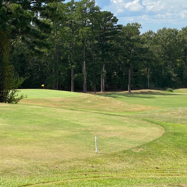 Pearl Municipal Golf Course offers a pleasant golfing experience with its well-maintained 18-hole course. 