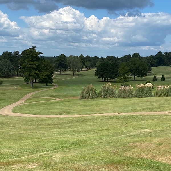 Pearl Municipal Golf Course    - Webpage Image
