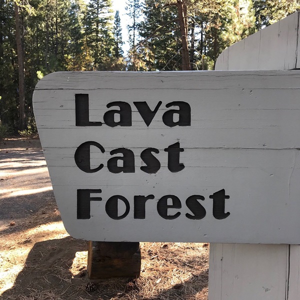 Visitors can enjoy local cuisine and beverages at various restaurants and breweries in and around La Pine, reflecting the rich craft beer culture of the region​. 