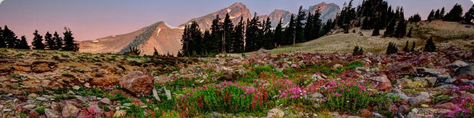 Visit Central Oregon  - Header Image