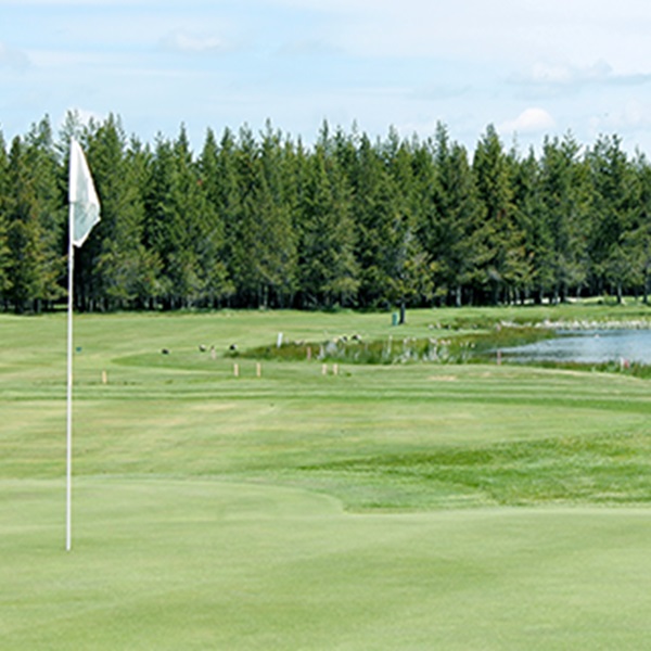 The well-groomed fairways and greens provide a challenging yet friendly golfing experience for all skill levels.