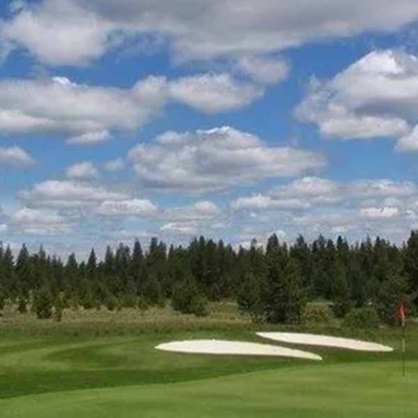 The course includes four tees ranging from 5,400 to over 7,000 yards, white sand traps, ponds, and tree-lined fairways. 