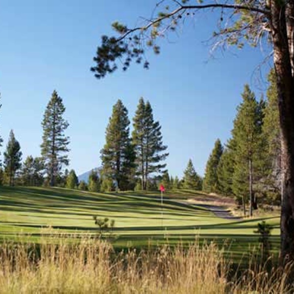The course is also noted for its beautiful trees and interesting holes, with minimal interference from housing developments. 