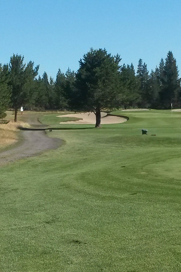 Quail Run Golf Course  - Display Image