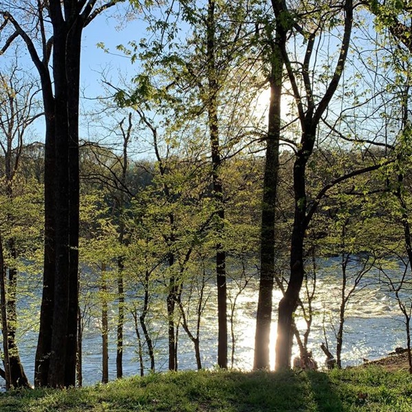 Malvern has access to several trails suitable for walking, biking, and enjoying the natural beauty of the area. 