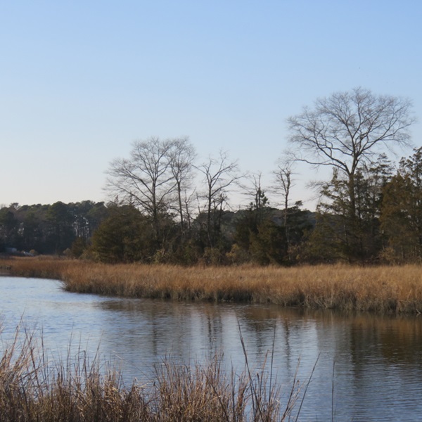 The Pagan Creek Dike is a historic causeway constructed around 1660 by Dutch settlers and is one of the oldest dikes in the United States.  