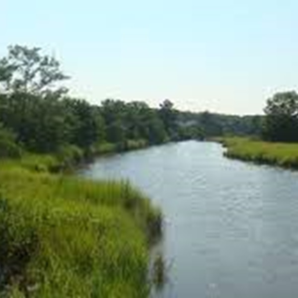Pagan Creek Dike is one of the oldest dikes in the United States and was built to facilitate trade and travel across the marshy areas behind the settlers' riverfront habitations. 