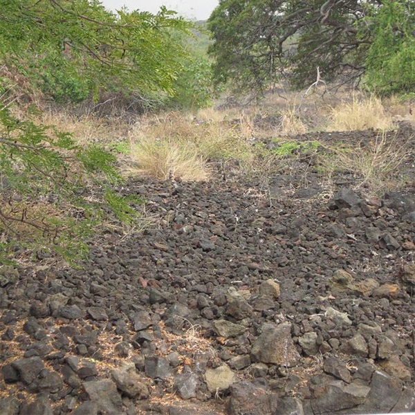 Designated as a National Historic Landmark in 1962, the slide is an important cultural and historical site, showcasing traditional Hawaiian sports and engineering. 