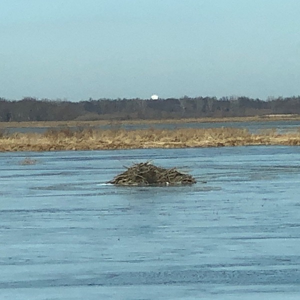 Lock and Dam No. 13 plays a crucial role in maintaining a navigation channel on the Upper Mississippi River, helping to control river flow and reduce flooding. 
