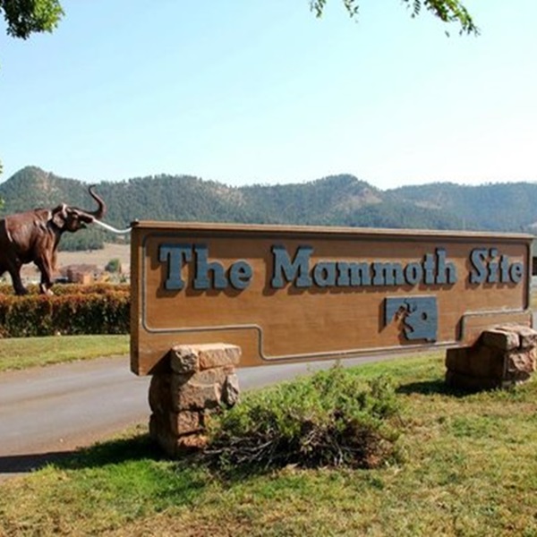 Mammoth Site is a working paleontological site where more than 60 mammoths and over 85 other species of Ice Age fauna have been unearthed. 