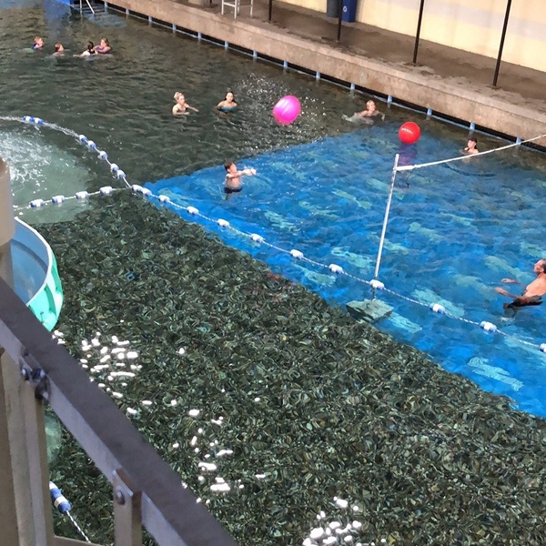 Evans Plunge offers several water slides, a children’s wading pool, and a water volleyball area, making it a family-friendly destination. 