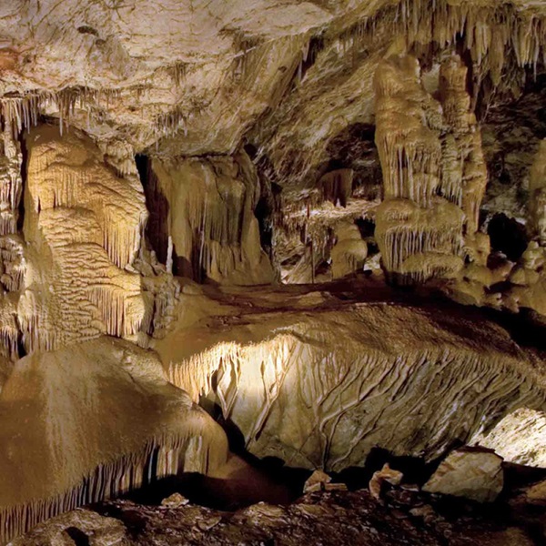 Kartchner Caverns State Park features a stunning limestone cave system with two major caverns, and guided tours showcase the cave's formations. 