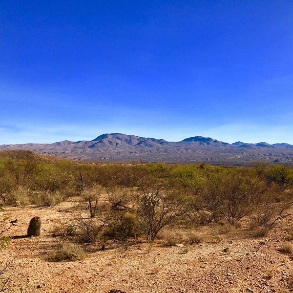 Benson is surrounded by beautiful desert landscapes, making it a great destination for hiking, bird watching, and exploring the natural beauty of Southern Arizona. 