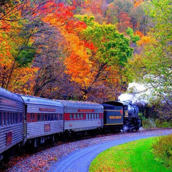 Situated near the Black River, the depot's location provides a scenic backdrop for visitors. Poplar Bluff Historic 