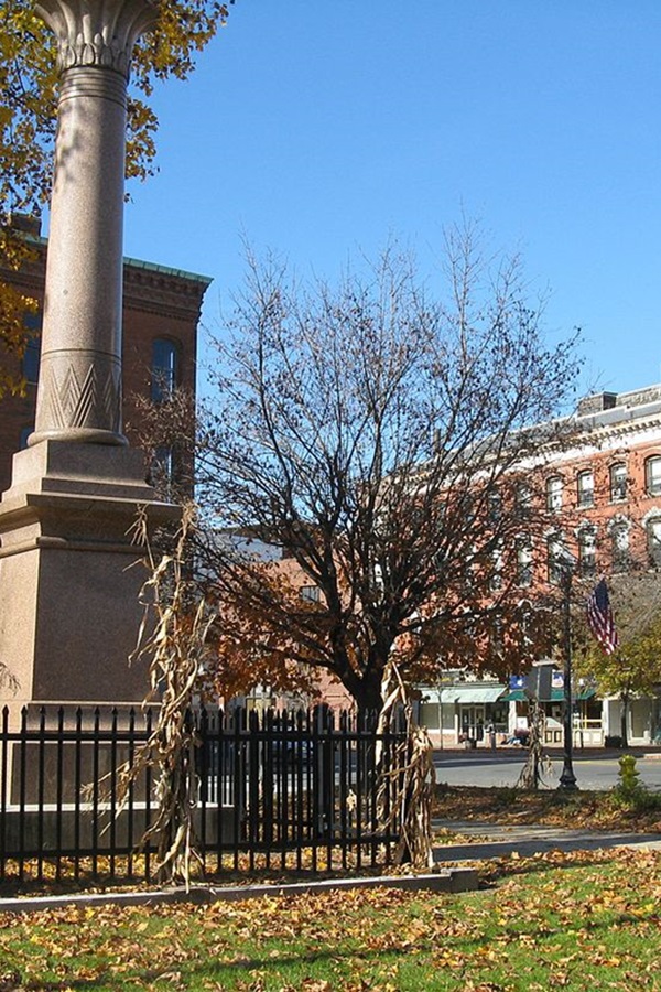 Main Street/Garden Cinema Historic Districts   - Display Image