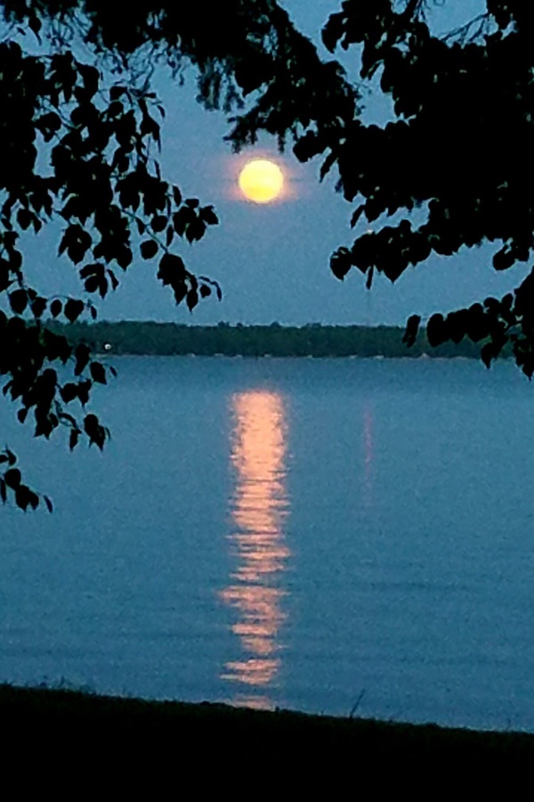Visit Bemidji  - Display Image