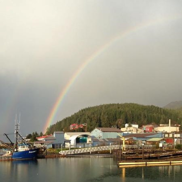 Cordova's location in Prince William Sound provides access to some of Alaska's most stunning coastal scenery, including glaciers, islands, and deep fjords. 